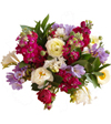 Spring Surprise