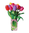 Tulip Temptation